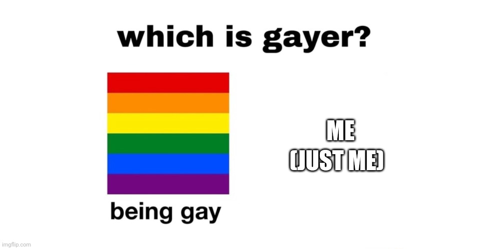 Which Is Gayer? | (JUST ME); ME | image tagged in which is gayer | made w/ Imgflip meme maker