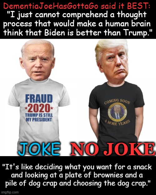 The Choice is Easy (unless you're partial to dog crap) | DementiaJoeHasGottaGo said it BEST:; "I just cannot comprehend a thought 
process that would make a human brain 
think that Biden is better than Trump."; "It's like deciding what you want for a snack 
and looking at a plate of brownies and a 
pile of dog crap and choosing the dog crap." | image tagged in politics,joe biden,donald trump,political humor,brownies,choices | made w/ Imgflip meme maker