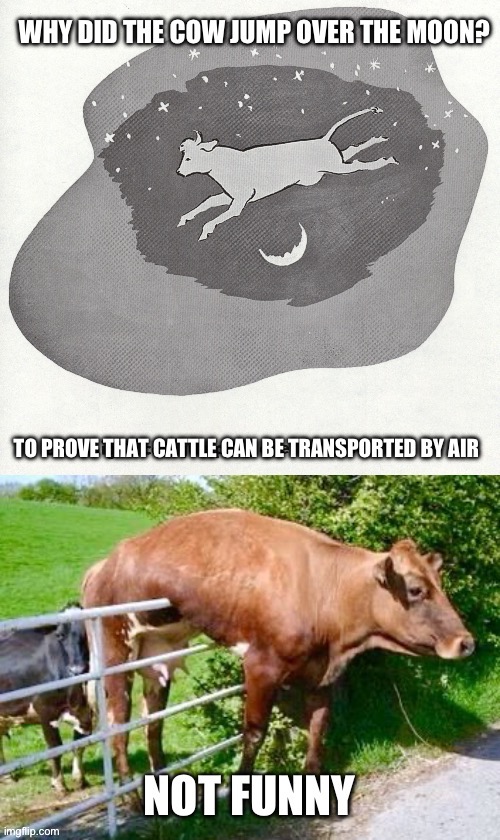 Why did the cow | image tagged in the moon,jump,why did i make this | made w/ Imgflip meme maker