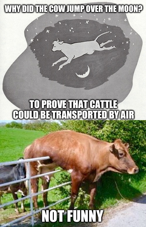 Why did the cow… | WHY DID THE COW JUMP OVER THE MOON? TO PROVE THAT CATTLE COULD BE TRANSPORTED BY AIR; NOT FUNNY | image tagged in cow jumping over the moon,cow can t jump over the moon,dad joke | made w/ Imgflip meme maker