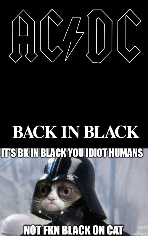 IT'S BK IN BLACK YOU IDIOT HUMANS; NOT FKN BLACK ON CAT | image tagged in ac/dc back in black,memes,grumpy cat star wars | made w/ Imgflip meme maker