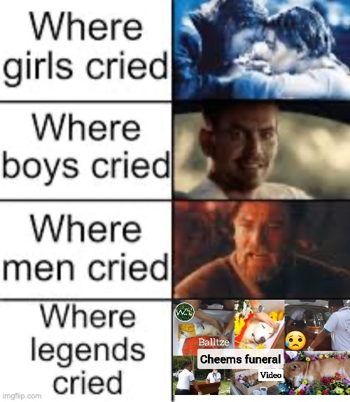 I didn't watch I but you get the idea.... RIP CHEEMS! | image tagged in where legends cried,rip cheems | made w/ Imgflip meme maker