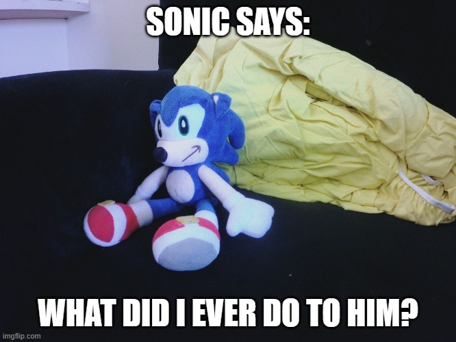sonic questioning life | SONIC SAYS: WHAT DID I EVER DO TO HIM? | image tagged in sonic questioning life | made w/ Imgflip meme maker