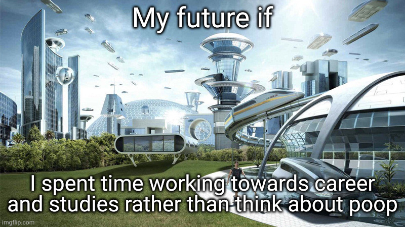society if | My future if; I spent time working towards career and studies rather than think about poop | image tagged in society if,memes | made w/ Imgflip meme maker