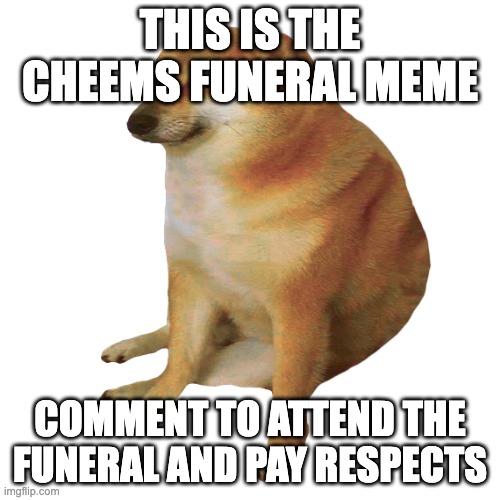 You will forever be remembered! | THIS IS THE CHEEMS FUNERAL MEME; COMMENT TO ATTEND THE FUNERAL AND PAY RESPECTS | image tagged in cheems | made w/ Imgflip meme maker