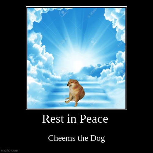 May he rest in peace | Rest in Peace | Cheems the Dog | image tagged in sad,doge,cheems | made w/ Imgflip demotivational maker