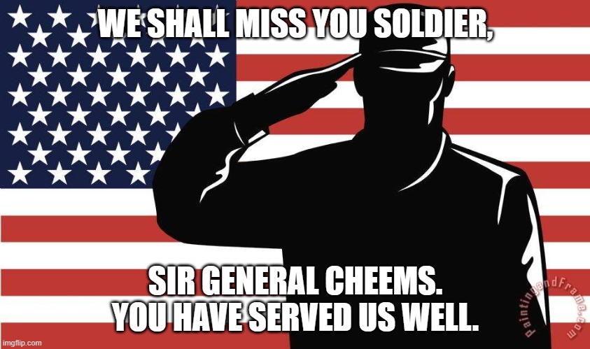REST IN PEACE CHEEMS | WE SHALL MISS YOU SOLDIER, SIR GENERAL CHEEMS. YOU HAVE SERVED US WELL. | image tagged in saluting soldier | made w/ Imgflip meme maker