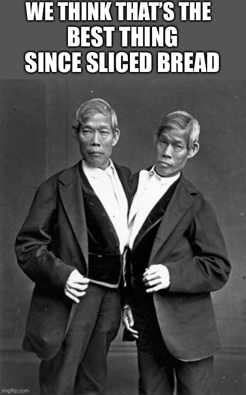 Siamese Twins | WE THINK THAT’S THE BEST THING SINCE SLICED BREAD | image tagged in siamese twins | made w/ Imgflip meme maker