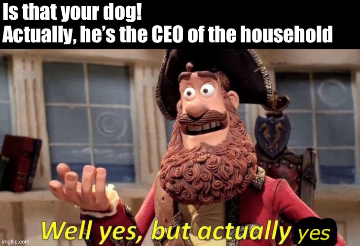 He really is | Is that your dog!
Actually, he’s the CEO of the household | image tagged in well yes but actually yes | made w/ Imgflip meme maker