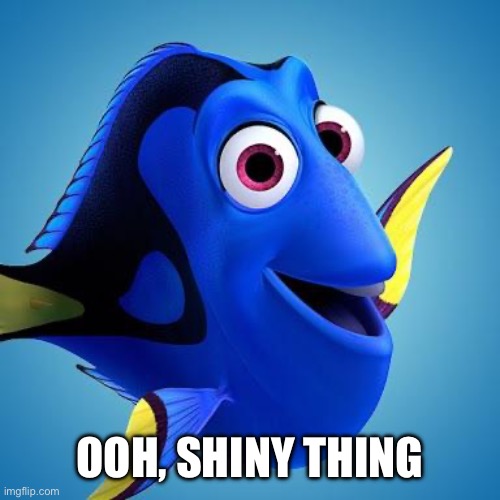 Dory from Finding Nemo | OOH, SHINY THING | image tagged in dory from finding nemo | made w/ Imgflip meme maker