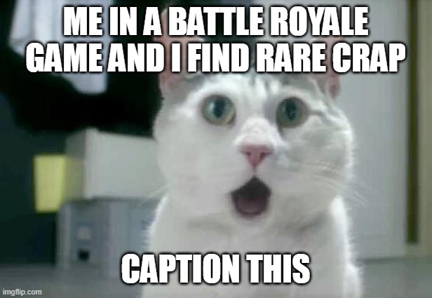 OMG Cat | ME IN A BATTLE ROYALE GAME AND I FIND RARE CRAP; CAPTION THIS | image tagged in memes,omg cat | made w/ Imgflip meme maker