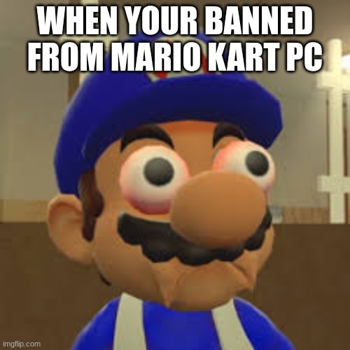 SENKO I NEED YOUR F*CKING HELP | WHEN YOUR BANNED FROM MARIO KART PC | image tagged in smg4 oh shit | made w/ Imgflip meme maker