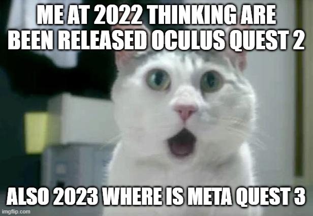 Nothing to surprise | ME AT 2022 THINKING ARE BEEN RELEASED OCULUS QUEST 2; ALSO 2023 WHERE IS META QUEST 3 | image tagged in memes,omg cat | made w/ Imgflip meme maker