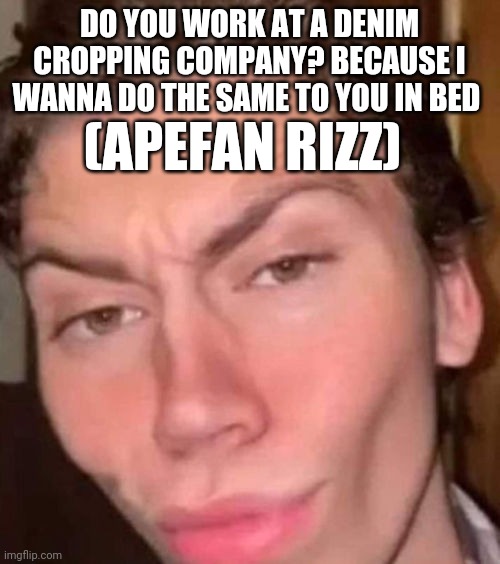 Apefan rizz fr | DO YOU WORK AT A DENIM CROPPING COMPANY? BECAUSE I WANNA DO THE SAME TO YOU IN BED; (APEFAN RIZZ) | image tagged in rizz | made w/ Imgflip meme maker