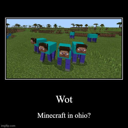 WOT | Wot | Minecraft in ohio? | image tagged in funny,demotivationals | made w/ Imgflip demotivational maker