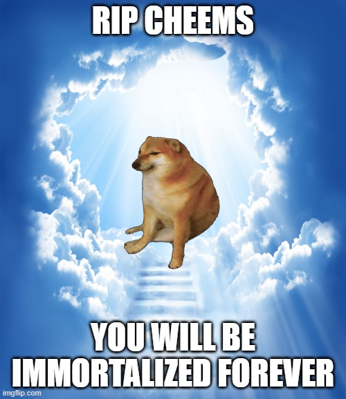 I guess this meme has been made before | RIP CHEEMS; YOU WILL BE IMMORTALIZED FOREVER | image tagged in heaven,memes,cheems,buff doge vs cheems,doge | made w/ Imgflip meme maker