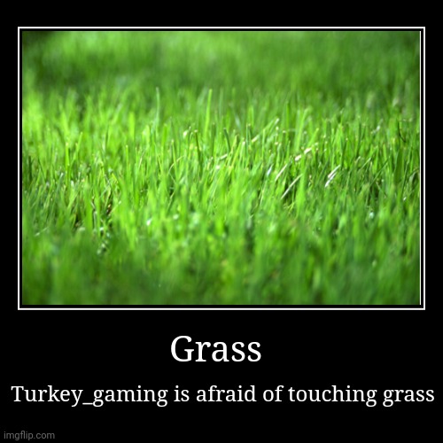 Fun fact about grass | Grass | Turkey_gaming is afraid of touching grass | image tagged in funny,demotivationals,grass | made w/ Imgflip demotivational maker