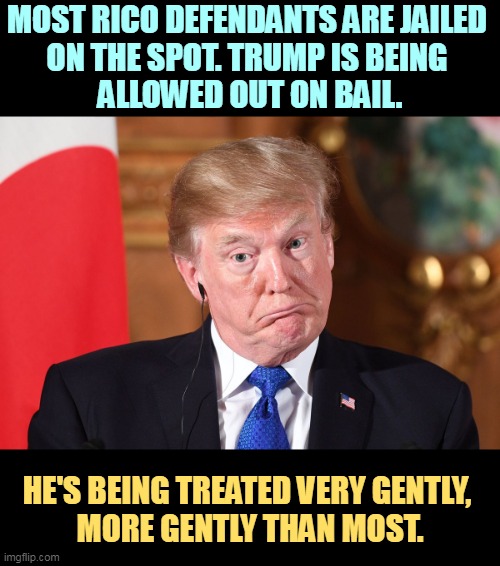 Trump dumbfounded corrected | MOST RICO DEFENDANTS ARE JAILED 
ON THE SPOT. TRUMP IS BEING 
ALLOWED OUT ON BAIL. HE'S BEING TREATED VERY GENTLY, 
MORE GENTLY THAN MOST. | image tagged in trump dumbfounded corrected,trump,criminal,prison,jail,bail | made w/ Imgflip meme maker