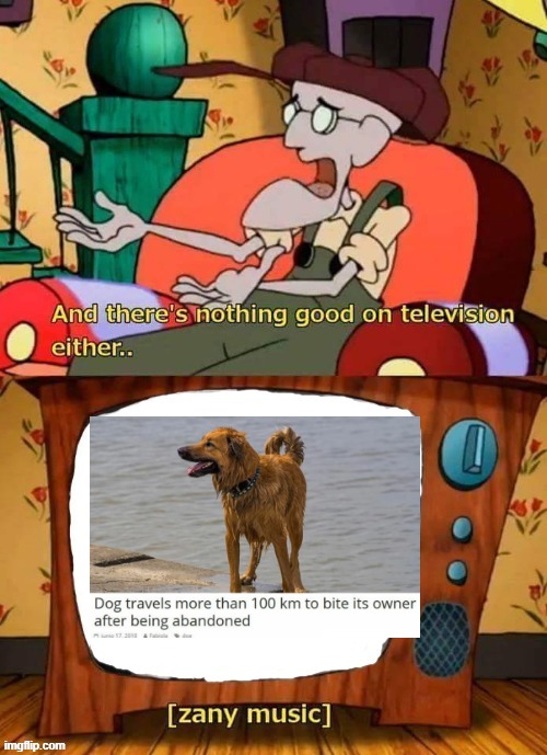 and there's nothing good in television either | image tagged in and there's nothing good in television either | made w/ Imgflip meme maker