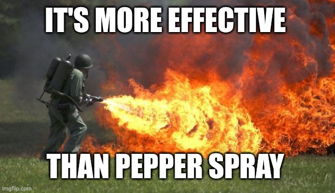 No Daughter of Mine is Getting Pepper Spray! | IT'S MORE EFFECTIVE; THAN PEPPER SPRAY | image tagged in flamethrower | made w/ Imgflip meme maker