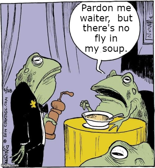 A Frog's Life | Pardon me
waiter,  but

there's no
fly in
my soup. | image tagged in funny,frogs | made w/ Imgflip meme maker