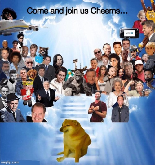 Sadly cheems died in real life after a battle with cancer | made w/ Imgflip meme maker