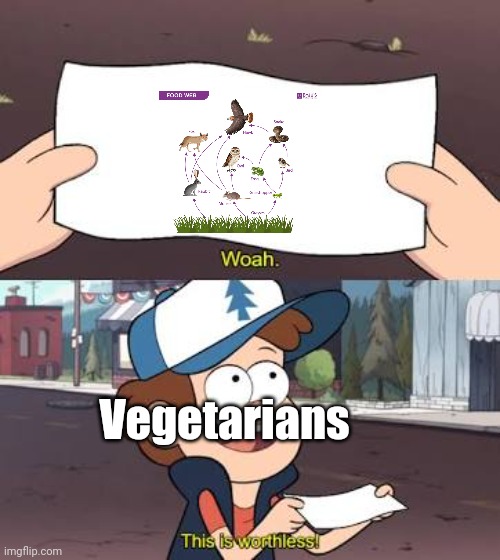 For vegetarians: The food web doesn't lie | Vegetarians | image tagged in wow this is useless,vegan | made w/ Imgflip meme maker