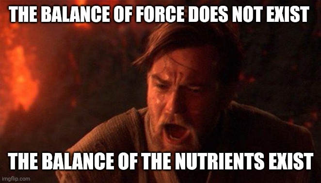 The balance of the nutrients exist | THE BALANCE OF FORCE DOES NOT EXIST; THE BALANCE OF THE NUTRIENTS EXIST | image tagged in memes,you were the chosen one star wars | made w/ Imgflip meme maker