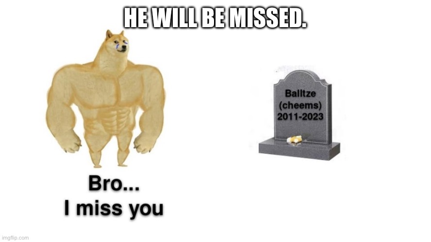 HE WILL BE MISSED. | image tagged in cheems | made w/ Imgflip meme maker