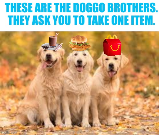 Doggo brothers | image tagged in doggo brothers | made w/ Imgflip meme maker