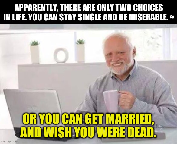 Choices | APPARENTLY, THERE ARE ONLY TWO CHOICES IN LIFE. YOU CAN STAY SINGLE AND BE MISERABLE. ≈; OR YOU CAN GET MARRIED, AND WISH YOU WERE DEAD. | image tagged in harold | made w/ Imgflip meme maker