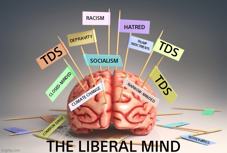 The Liberal Mind | RACISM; HATRED; DEPRAVITY; TRUMP
INDICTMENTS; TDS; TDS; SOCIALISM; CLOSED-MINDED; NARROW-MINDED; TDS; CLIMATE CHANGE; THE LIBERAL MIND; COMMON SENSE; COMPASSION | image tagged in memes,liberal logic,democrats,criminal minds,tds,political meme | made w/ Imgflip meme maker