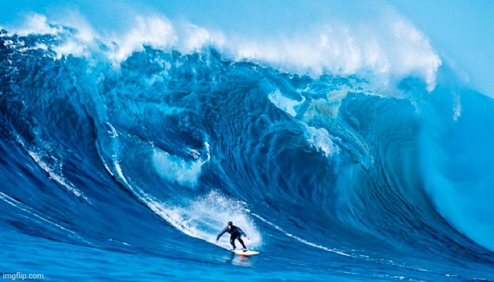 Tsunami Surfer | image tagged in tsunami surfer | made w/ Imgflip meme maker