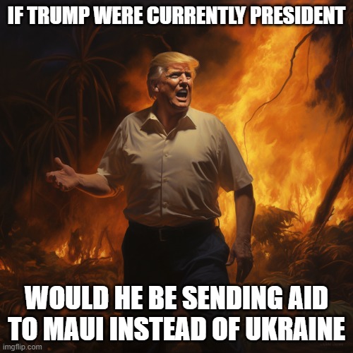 Maui Fires | IF TRUMP WERE CURRENTLY PRESIDENT; WOULD HE BE SENDING AID TO MAUI INSTEAD OF UKRAINE | image tagged in donald trump in maui fires,president,wildfires,tragedy,faith in humanity,devastation | made w/ Imgflip meme maker