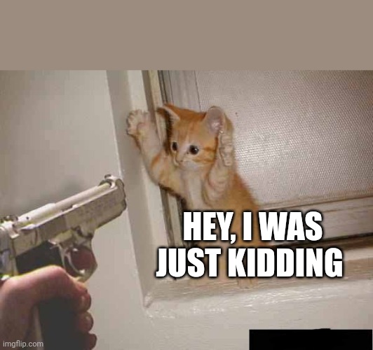 hands up kitty | HEY, I WAS JUST KIDDING | image tagged in hands up kitty | made w/ Imgflip meme maker
