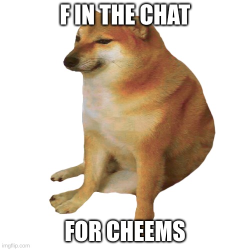 f | F IN THE CHAT; FOR CHEEMS | image tagged in cheems | made w/ Imgflip meme maker