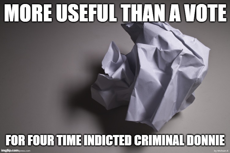 Crumpled paper | MORE USEFUL THAN A VOTE; FOR FOUR TIME INDICTED CRIMINAL DONNIE | image tagged in crumpled paper | made w/ Imgflip meme maker