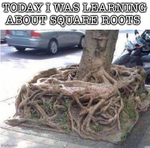 TODAY I WAS LEARNING ABOUT SQUARE ROOTS | made w/ Imgflip meme maker