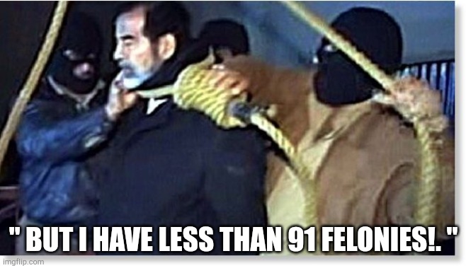 happy ending | " BUT I HAVE LESS THAN 91 FELONIES!. " | image tagged in saddam,happy ending | made w/ Imgflip meme maker