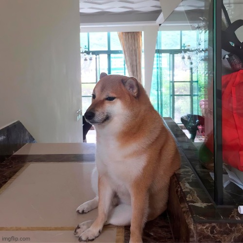 OG Cheems | image tagged in og cheems | made w/ Imgflip meme maker