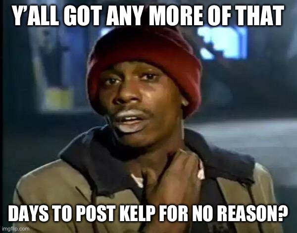 Y'all Got Any More Of That | Y’ALL GOT ANY MORE OF THAT; DAYS TO POST KELP FOR NO REASON? | image tagged in memes,y'all got any more of that | made w/ Imgflip meme maker