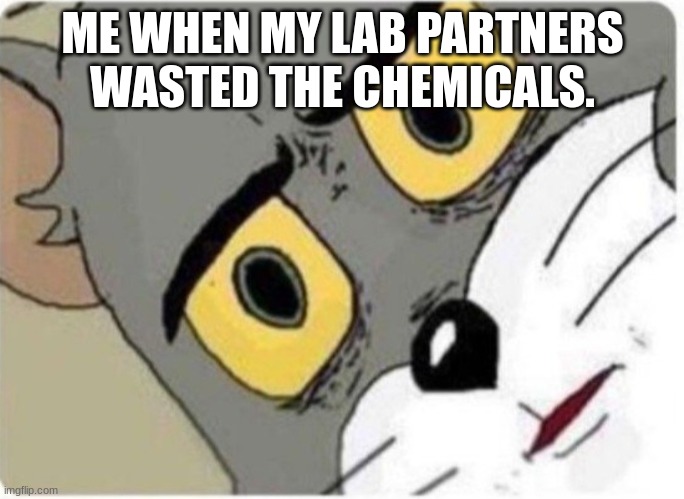 Tom and Jerry meme | ME WHEN MY LAB PARTNERS WASTED THE CHEMICALS. | image tagged in tom and jerry meme | made w/ Imgflip meme maker