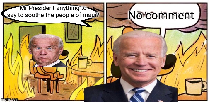 Maui biden fine | Mr President anything to say to soothe the people of maui? No comment | image tagged in memes,this is fine | made w/ Imgflip meme maker