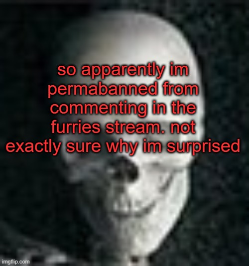 . | so apparently im permabanned from commenting in the furries stream. not exactly sure why im surprised | image tagged in skull | made w/ Imgflip meme maker