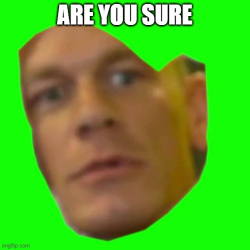 ARE YOU SURE ABOUT THAT | ARE YOU SURE | image tagged in are you sure about that | made w/ Imgflip meme maker