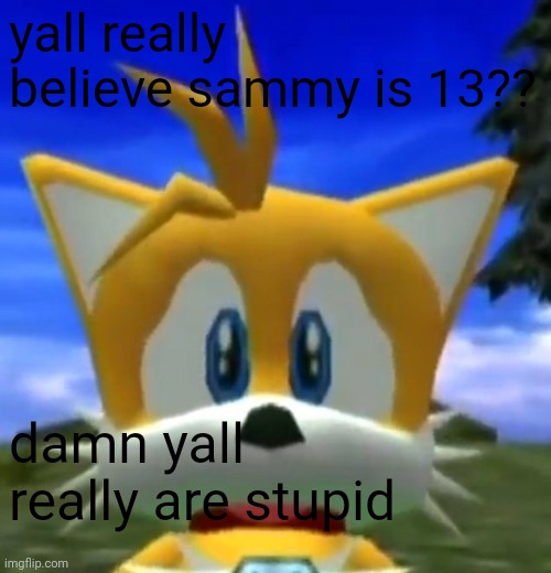 Dreamcast Tails | yall really believe sammy is 13?? damn yall really are stupid | image tagged in dreamcast tails | made w/ Imgflip meme maker