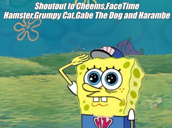 Spongebob salute | Shoutout to Cheems,FaceTime Hamster,Grumpy Cat,Gabe The Dog and Harambe | image tagged in spongebob salute | made w/ Imgflip meme maker