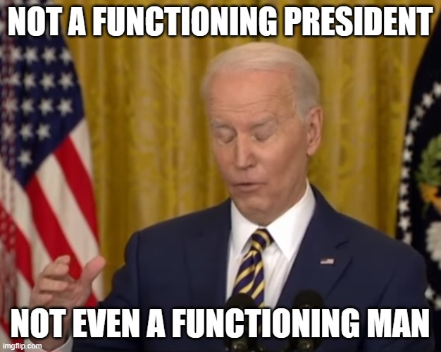 Time to Go, Joe | NOT A FUNCTIONING PRESIDENT; NOT EVEN A FUNCTIONING MAN | image tagged in no brain biden duhhh | made w/ Imgflip meme maker
