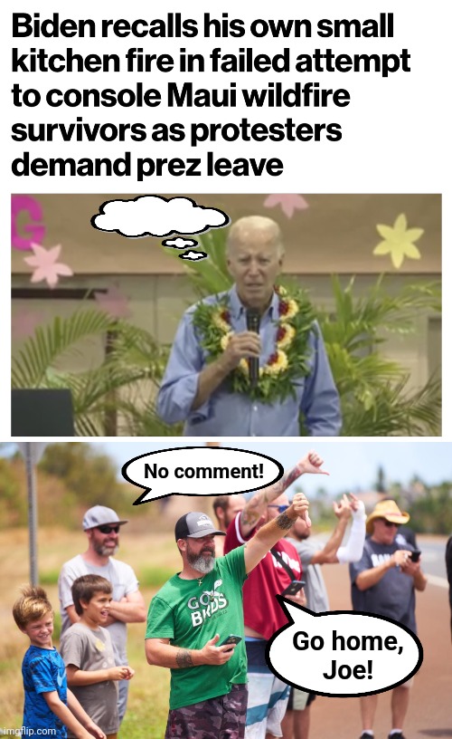 A senile creep running out the clock on a failed presidency | No comment! Go home,
Joe! | image tagged in memes,maui,joe biden,lies,democrats | made w/ Imgflip meme maker