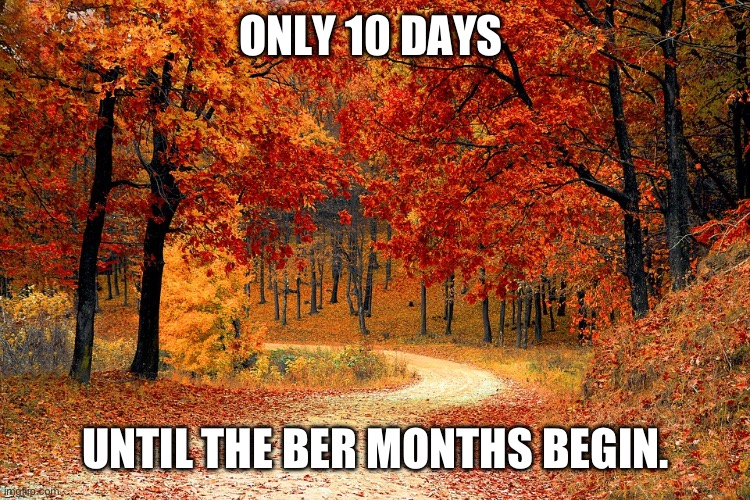 Only 10 days until the Ber months begin | ONLY 10 DAYS; UNTIL THE BER MONTHS BEGIN. | image tagged in road in autumn | made w/ Imgflip meme maker